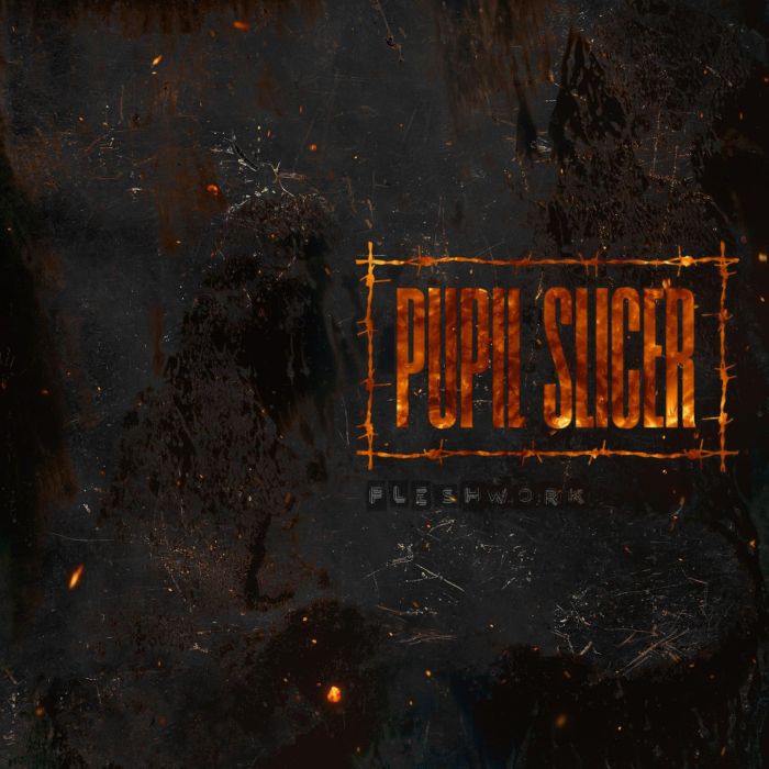 PUPIL SLICER - FLESHWORK