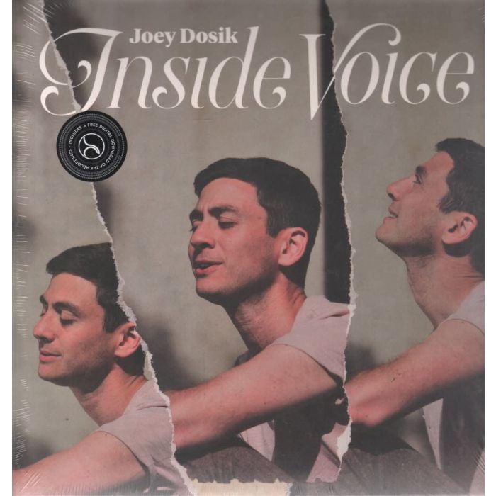 JOEY DOSIK - INSIDE VOICE