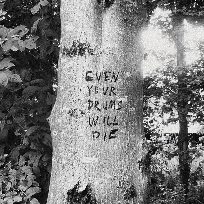 RICHARD SWIFT - EVEN YOUR DRUMS WILL DIE: LIVE AT PENDARVIS FARM