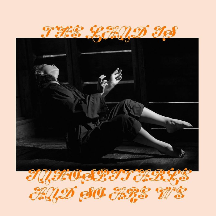 MITSKI - LAND IS INHOSPITABLE & SO ARE WE