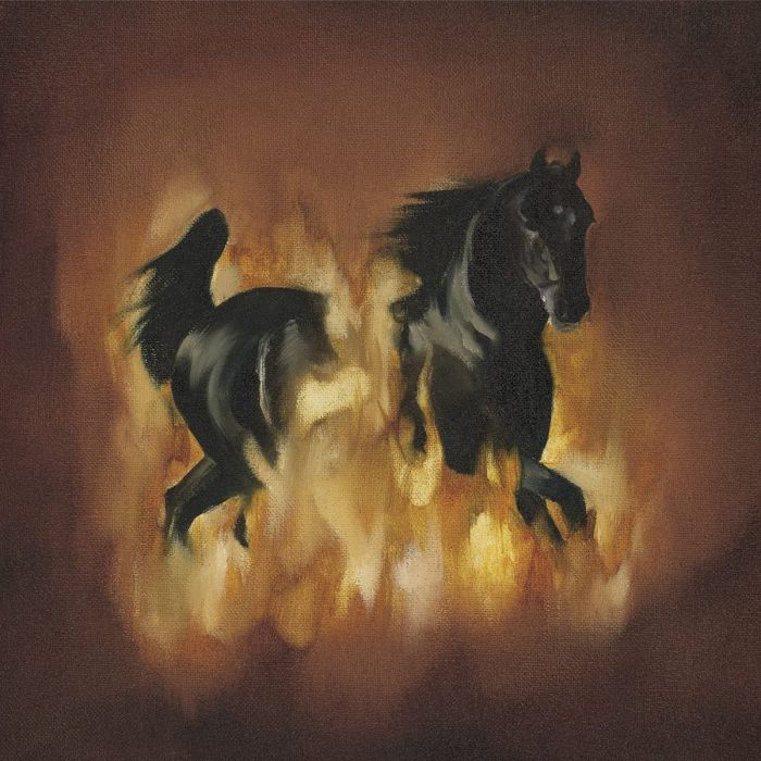 BESNARD LAKES - BESNARD LAKES ARE THE DARK HORSE
