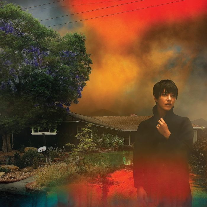 SHARON VAN ETTEN - WE'VE BEEN GOING ABOUT THIS ALL WRONG (MARBLED SMOKE VINYL)