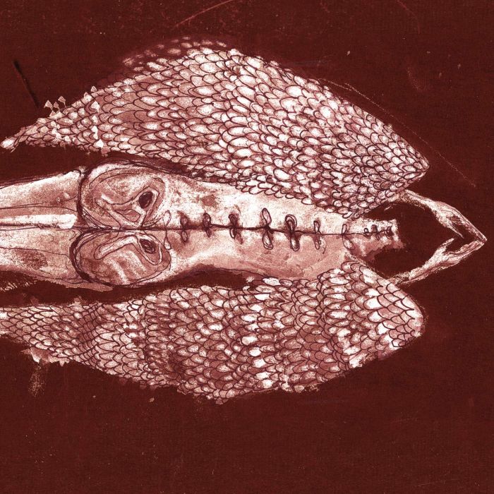 CERBERUS SHOAL - HOMB (ANNIVERSARY EDITION)