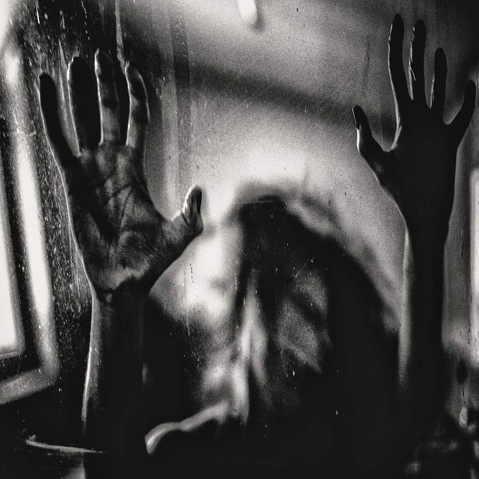 BEHIND THE SHADOW DROPS - H A R M O N I C