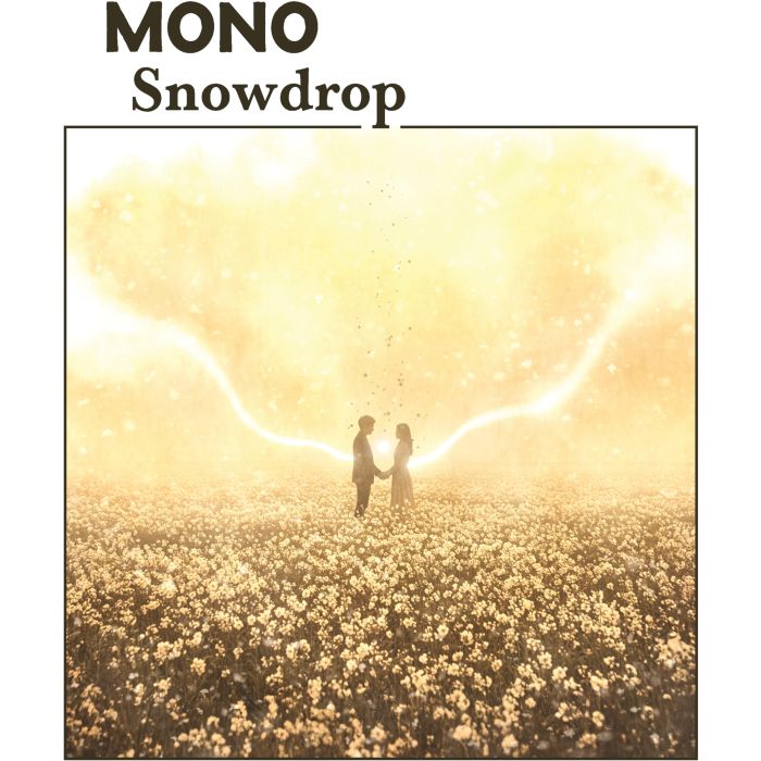 MONO - SNOWDROP