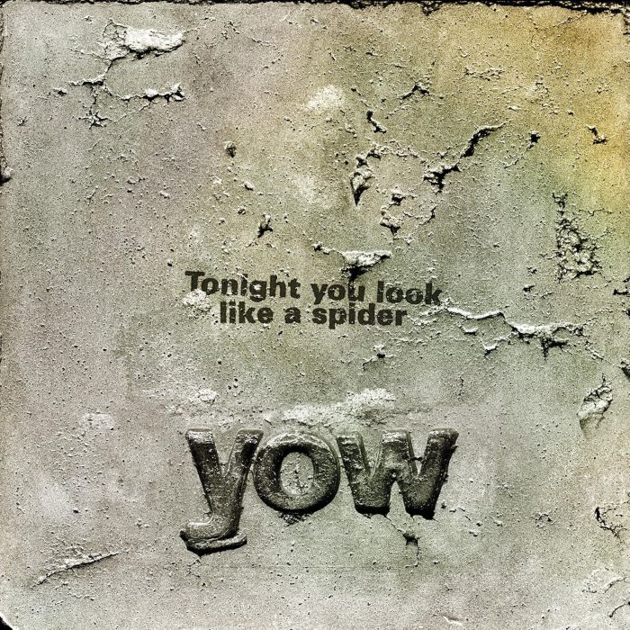 DAVID YOW - TONIGHT YOU LOOK LIKE A SPIDER