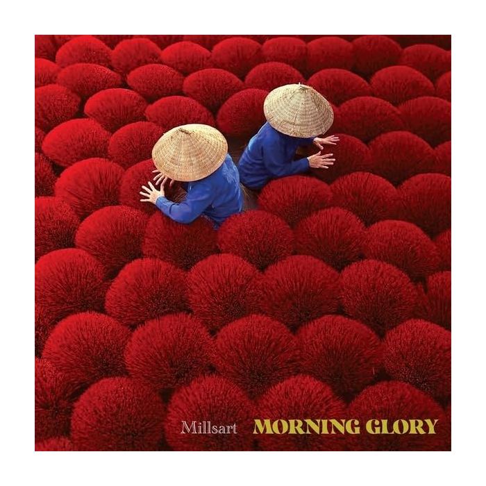 MILLSART - MORNING GLORY