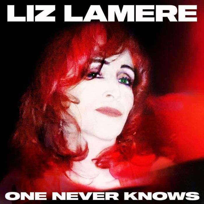 LIZ LAMERE - ONE NEVER KNOWS
