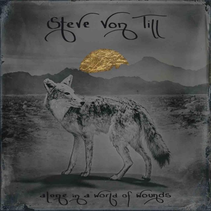 STEVE VON TILL - ALONE IN A WORLD OF WOUNDS