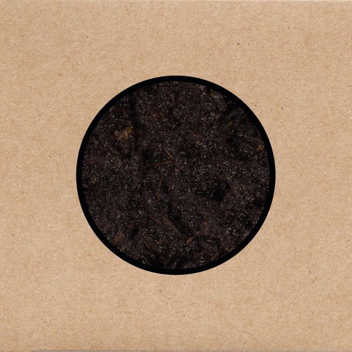 SWANS - BIRTHING