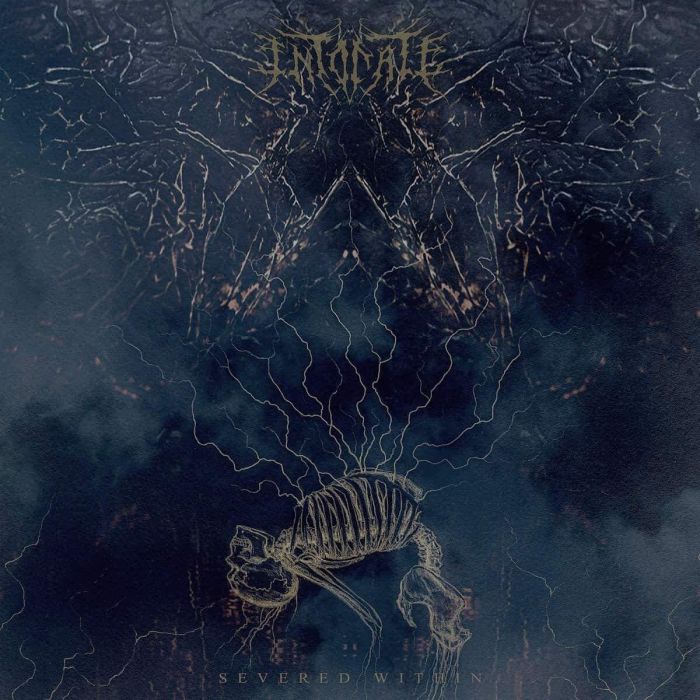 INTONATE - SEVERED WITHIN (RANDOM MIXED COLOR VINYL)