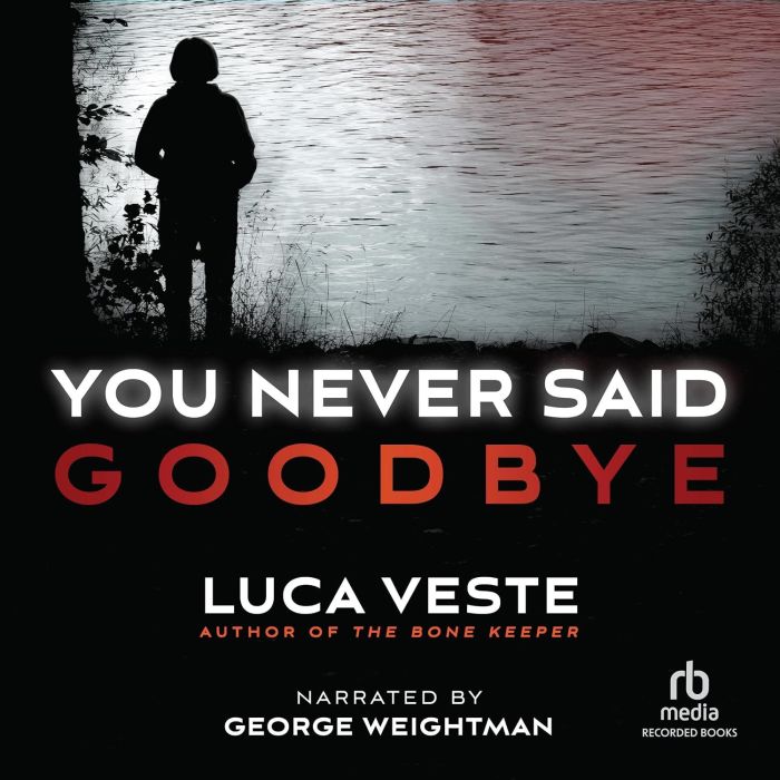 UNCLAIMED - NEVER SAID GOODBYE