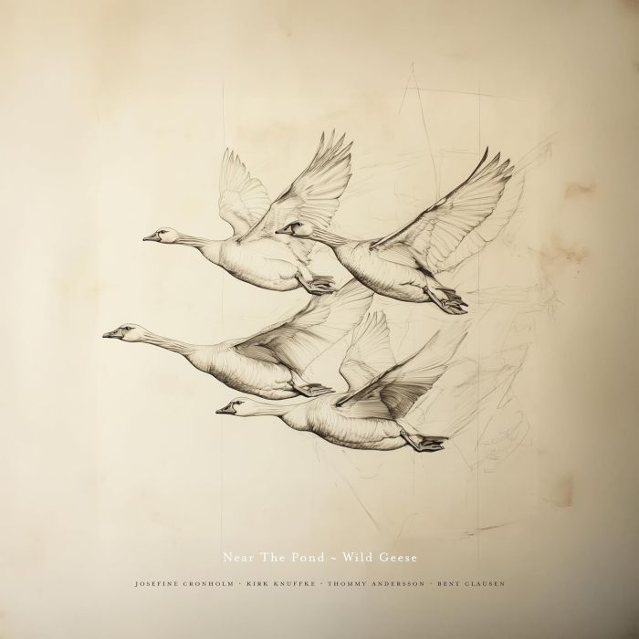 NEAR THE POND - WILD GEESE