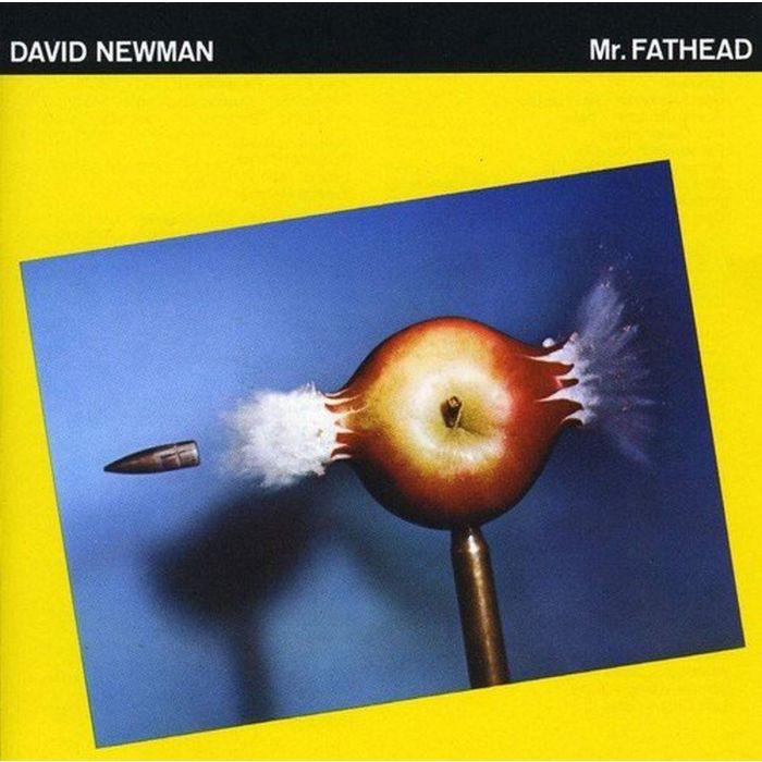 DAVID FATHEAD NEWMAN - MR FATHEAD