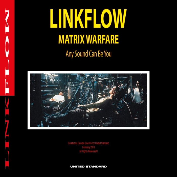 VARIOUS ARTISTS - LINKFLOW
