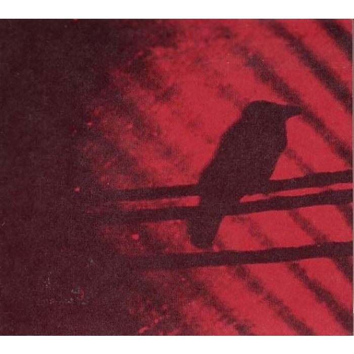 SILVER MOUNTAIN ZION - BORN INTO TROUBLE AS THE SPARKS FLY UPWARD