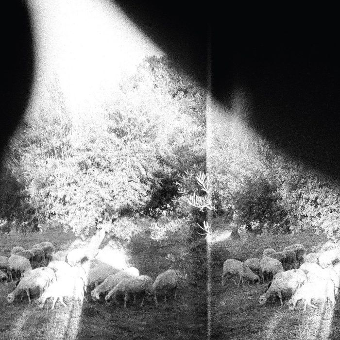 GODSPEED YOU BLACK EMPEROR - ASUNDER SWEET & OTHER DISTRESS