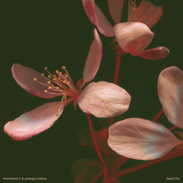 PACHAKUTI & YOUNG.VISHNU - SEMILLA