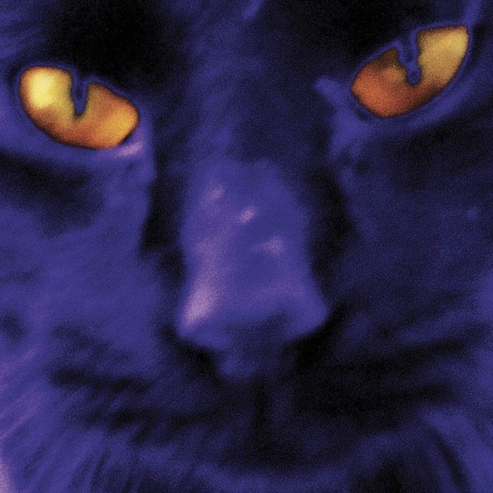 KILGOUR,DAVID & THE HEAVY EIGHTS - BOBBIE'S A GIRL