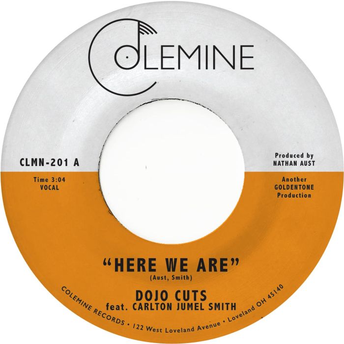 DOJO CUTS - HERE WE ARE (CLEAR VINYL)