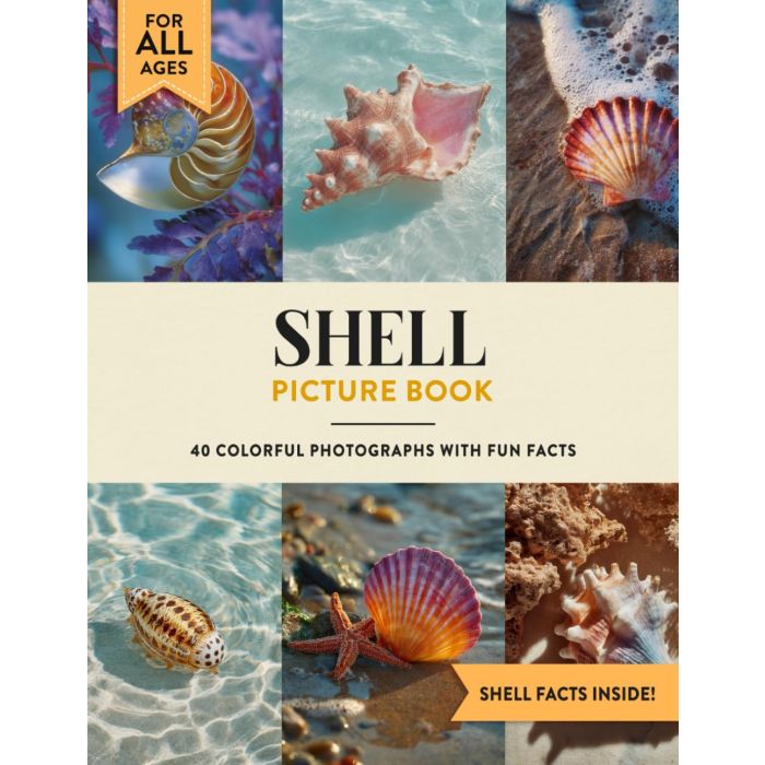 SHELL - GIMME SHELL