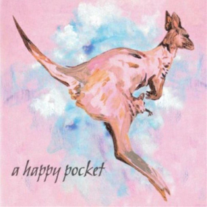 TRASHCAN SINATRAS - HAPPY POCKET (PINK VINYL)