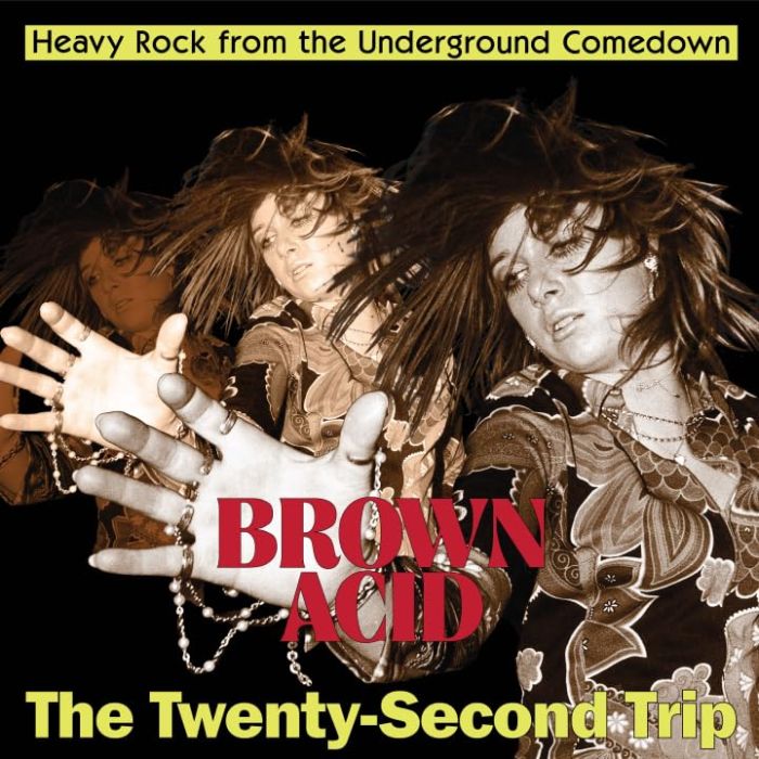VARIOUS ARTISTS - BROWN ACID - THE TWENTY-SECOND TRIP