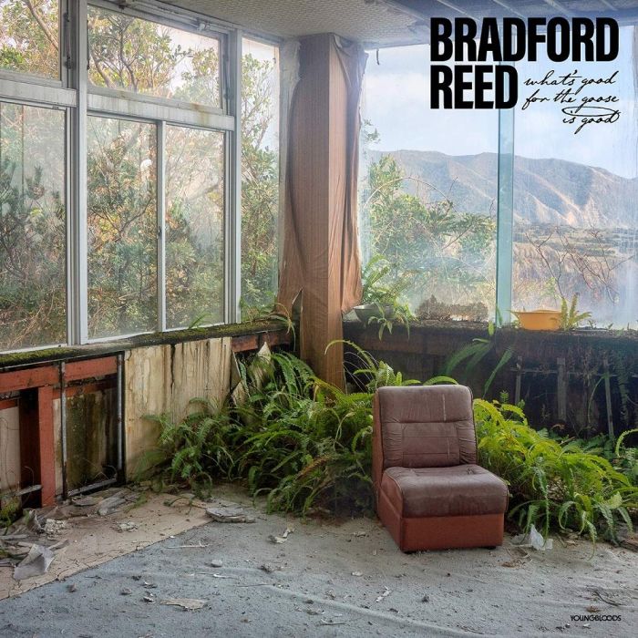BRADFORD REED - WHAT'S GOOD FOR THE GOOSE IS GOOD