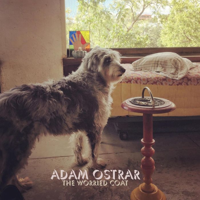 ADAM OSTRAR - WORRIED COAT