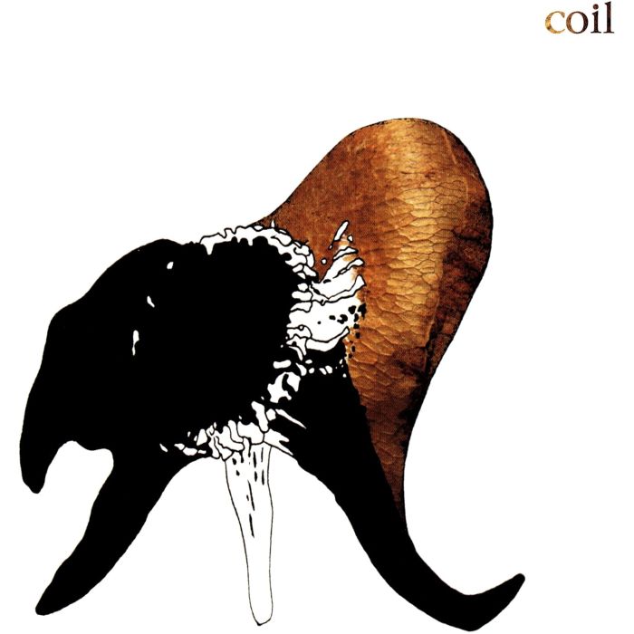 COIL - BLACK ANTLERS