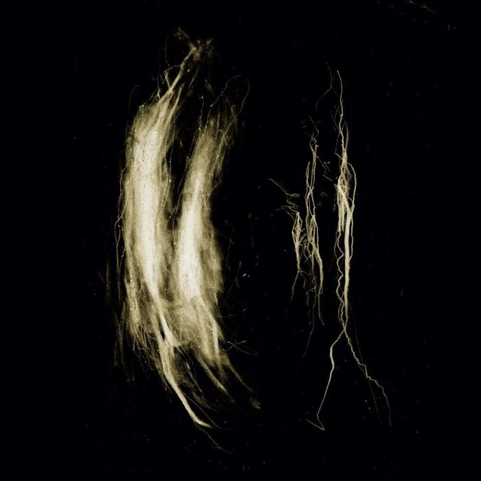 MY HEART, AN INVERTED FLAME - PLAGUE NOTES