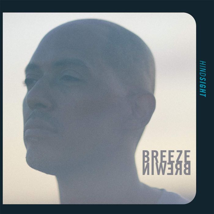 BREEZE BREWIN - HINDSIGHT