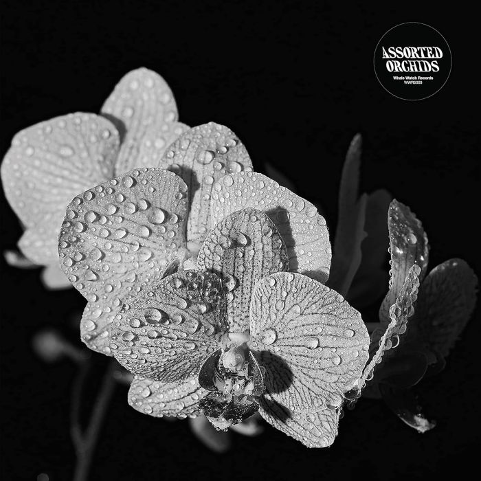 ASSORTED ORCHIDS - ASSORTED ORCHIDS (GATEFOLD/WHITE VINYL)