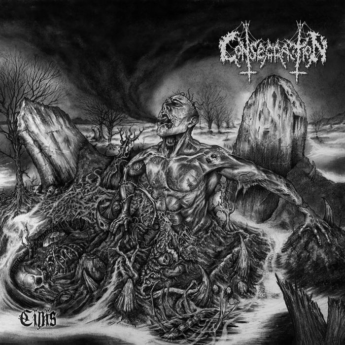CONSECRATION - CINIS