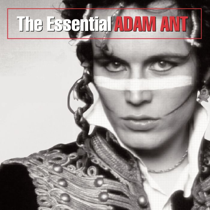 ANT,ADAM & THE ANTS - ESSENTIAL ADAM ANT