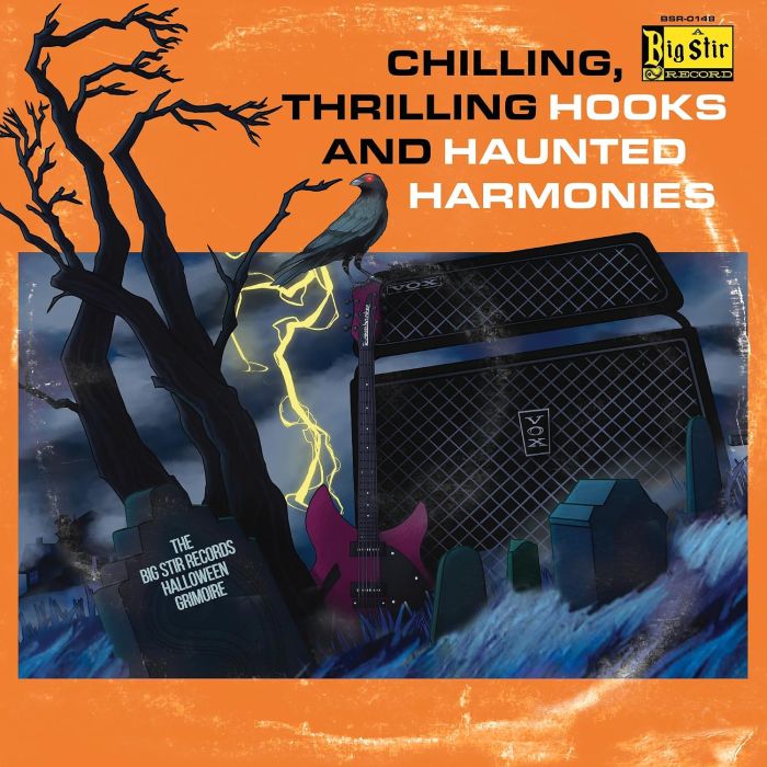 VARIOUS ARTISTS - CHILLING, THRILLING HOOKS & HAUNTED HARMONIES: THE BIG STIR RECOR