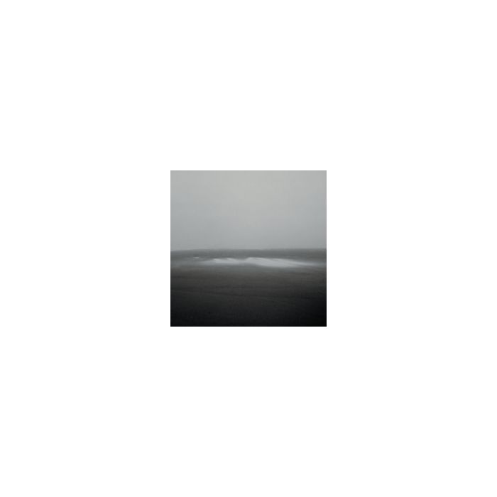BARRECA / LEIMER - DROWNING GUIDES