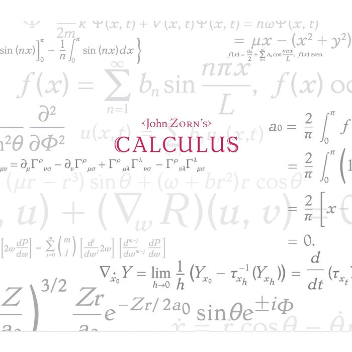 JOHN ZORN - CALCULUS