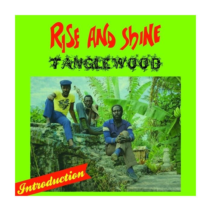TANGLEWOOD - RISE & SHINE
