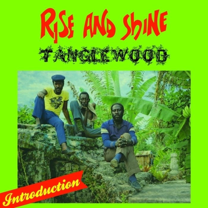 TANGLEWOOD - RISE & SHINE