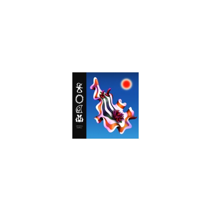 DIVINO NNO - FOAM