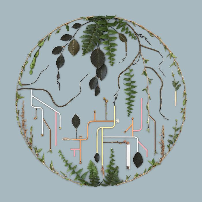 EL BÚHO - TRIBUTARIES: VOL. 2