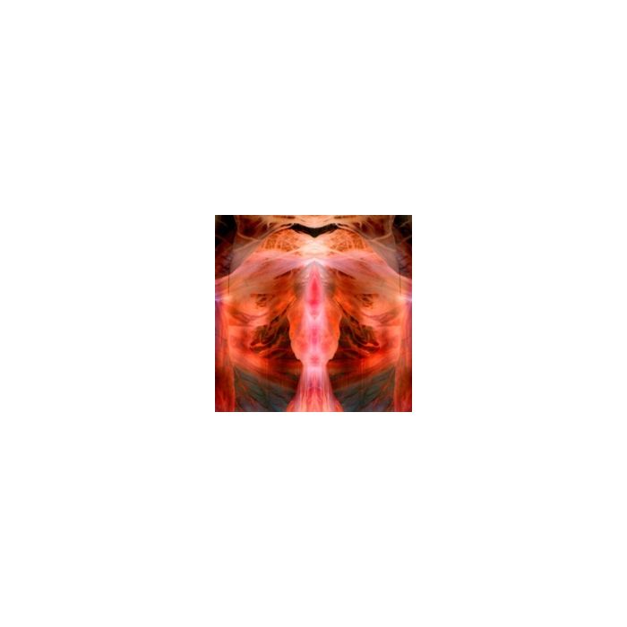 PAUL SCHUTZE - ANNIHILATING ANGEL; OR, THE SURFACE OF THE WORLD