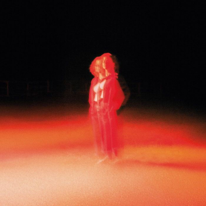 KATHERINE PRIDDY - THESE FRIGHTENING MACHINES