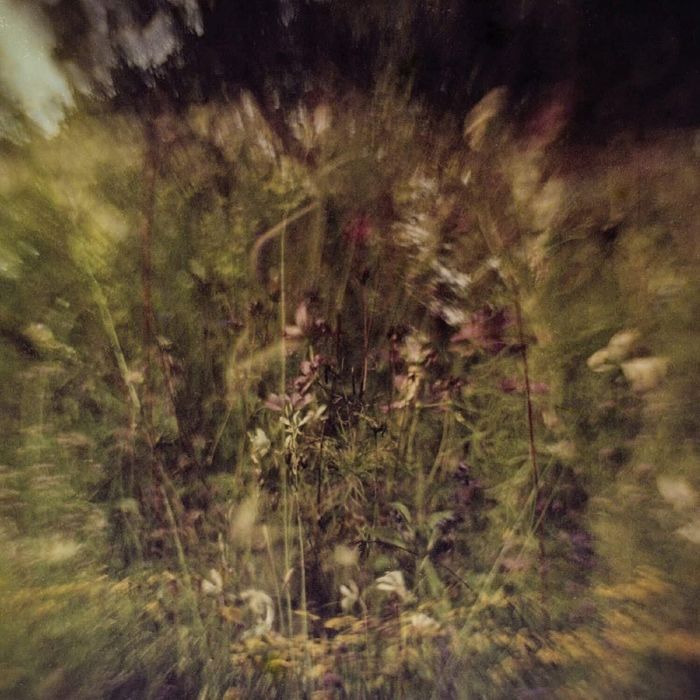 PLURALONE - WILE / REMEMBERED (PURPLE 7INCH)