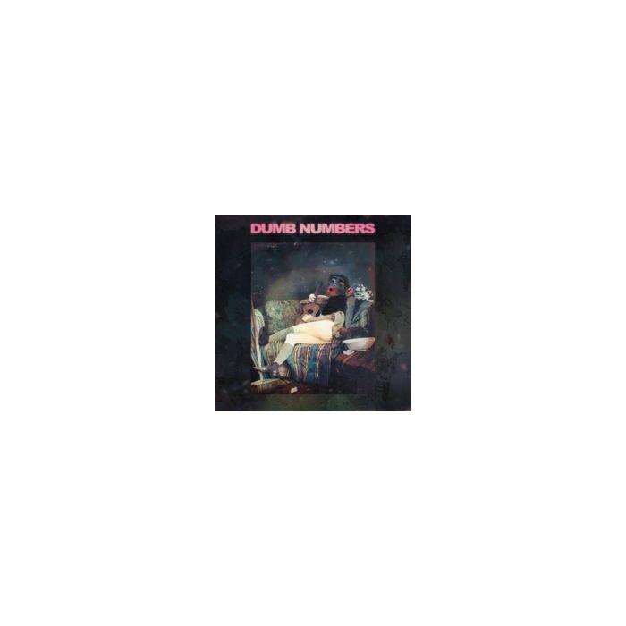 DUMB NUMBERS - DUMB NUMBERS II
