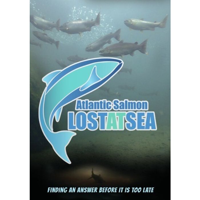 ATLANTIC SALMON - LOST AT SEA