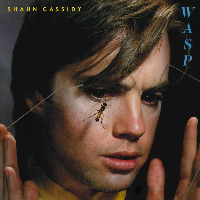 SHAUN CASSIDY - WASP