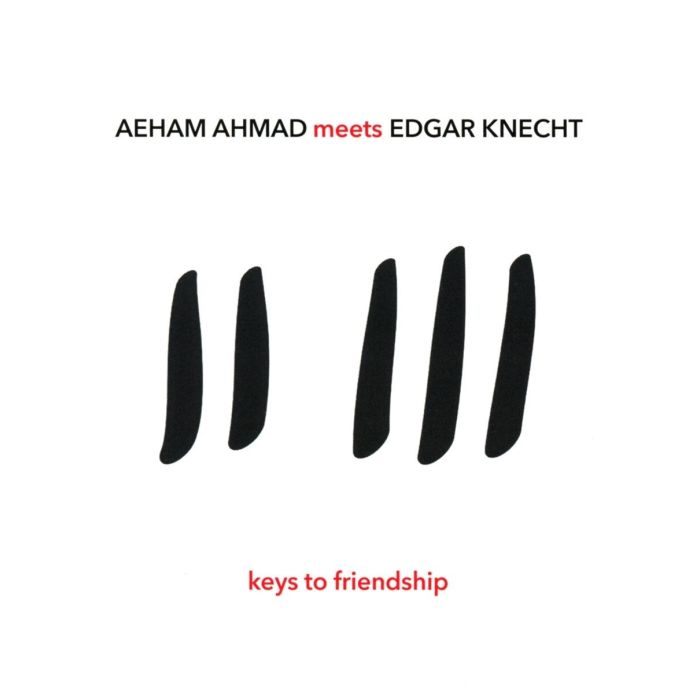 AEHAM MEETS EDGAR AHMAD - KEYS TO FRIENDSHIP