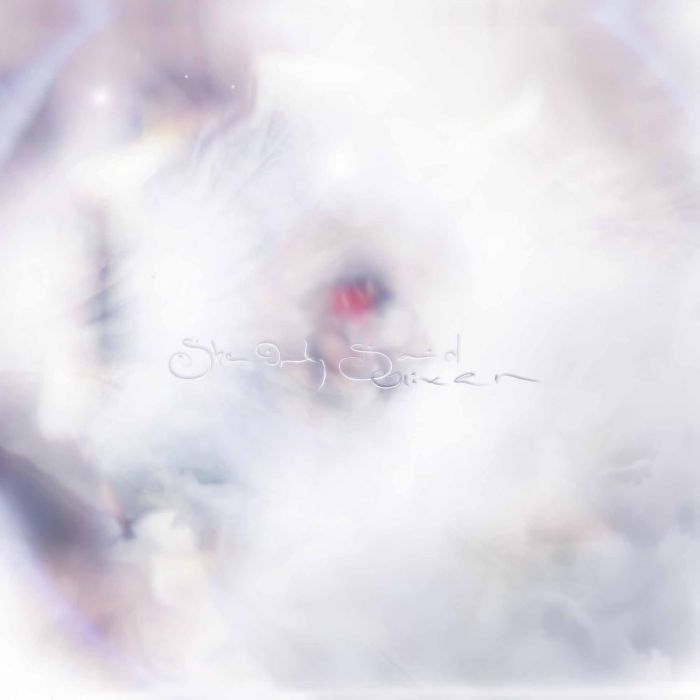 GLIXEN - SHE ONLY SAID